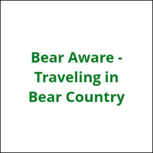 bear aware