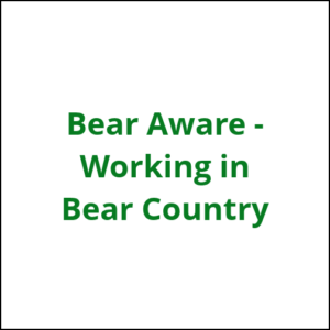 Bear aware
