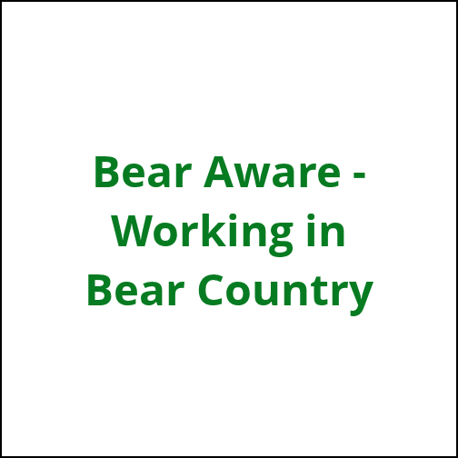 Bear aware