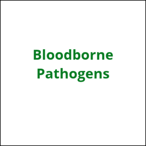 bloodborn