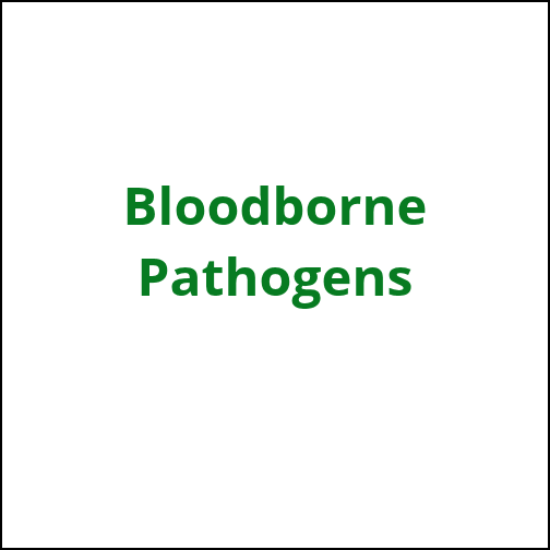 bloodborn