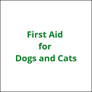 first aid dogs and cats